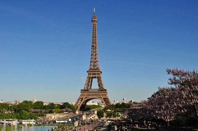 Study in France Whiteglove